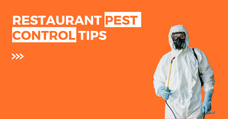 Restaurant Pest Control